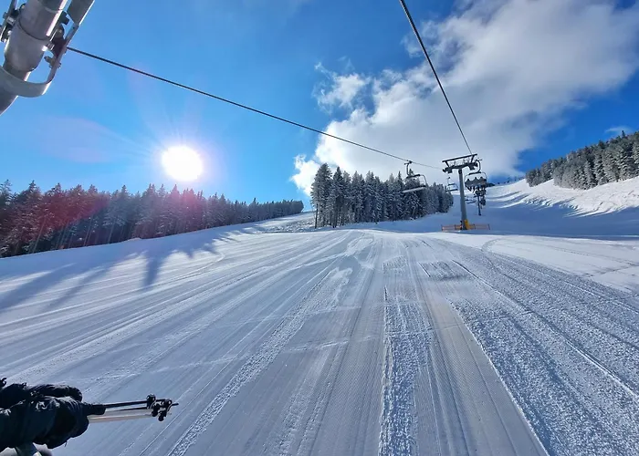 Apartment In Out Kosara 4*