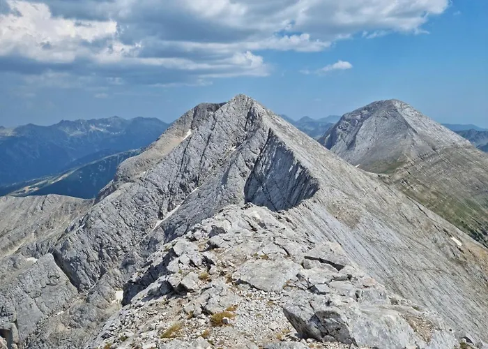 In Out Kosara 4* Bansko