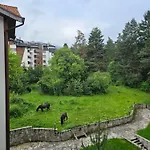 In Out Kosara Bansko
