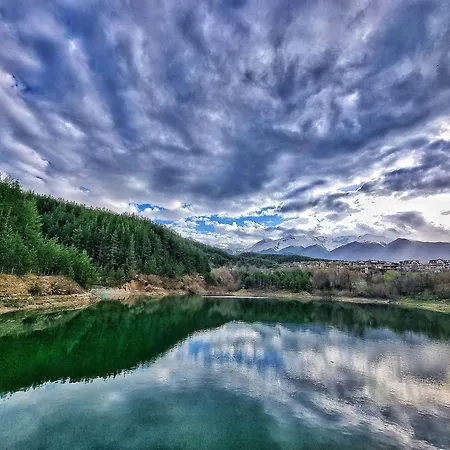 In Out Kosara Banszko