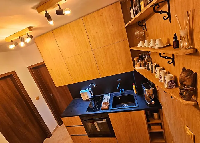 Apartman In Out Kosara Banszko