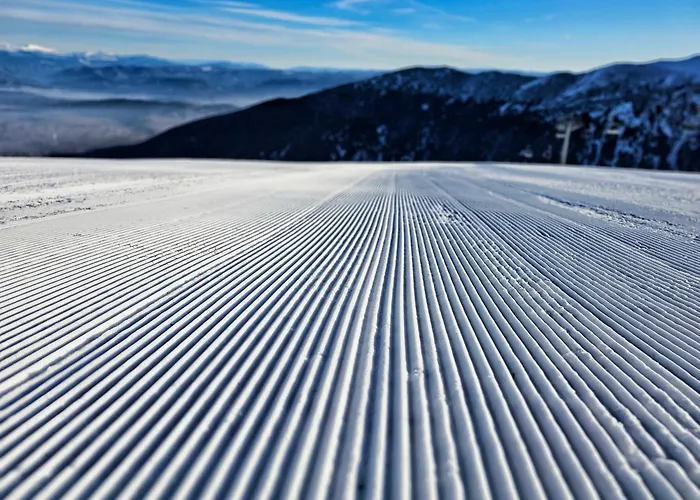 Apartman In Out Kosara Banszko