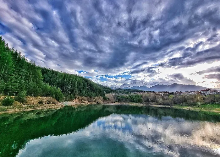 In Out Kosara Banszko