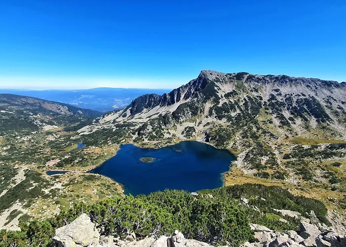 Apartman In Out Kosara