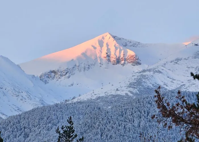 In Out Kosara Apartman Banszko