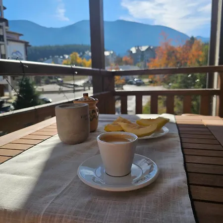 In Out Kosara Apartment Bansko