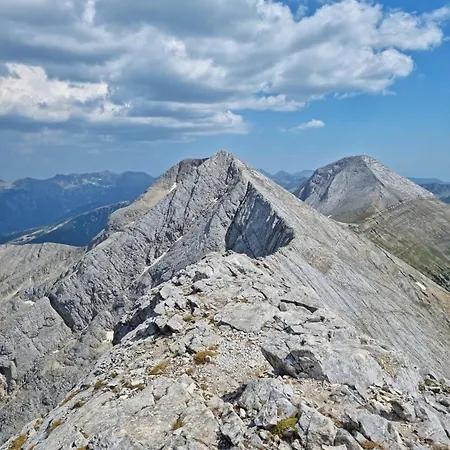 In Out Kosara 4* Μπάνσκο