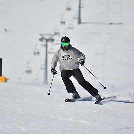 In Out Kosara Apartment