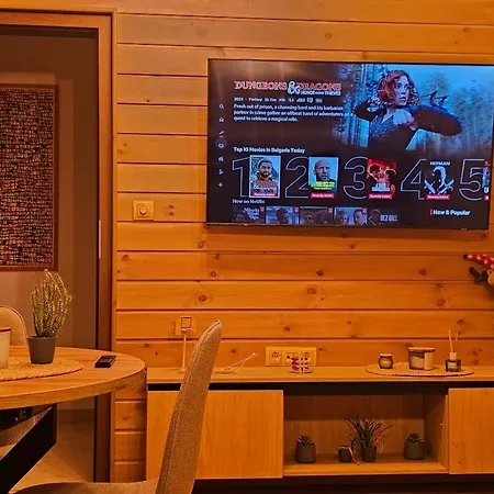 In Out Kosara Bansko